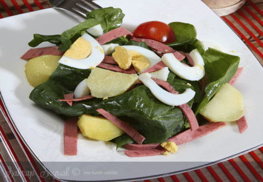 Patatesli Ispanyol Salatası Tarifi